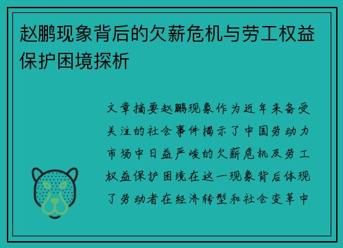 赵鹏现象背后的欠薪危机与劳工权益保护困境探析