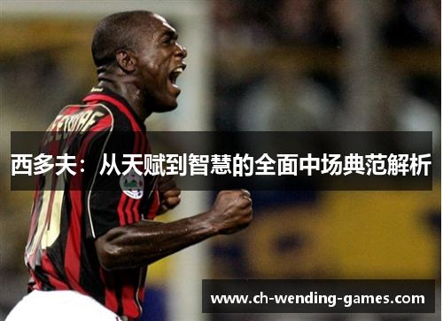 西多夫：从天赋到智慧的全面中场典范解析