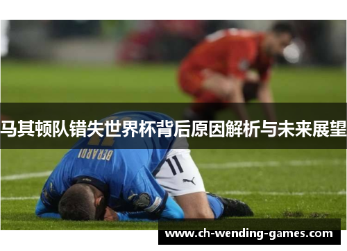 马其顿队错失世界杯背后原因解析与未来展望