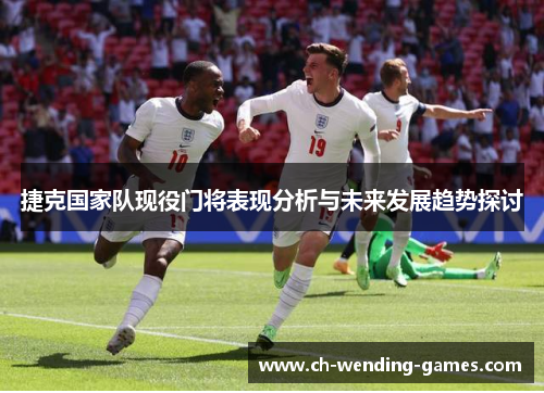 捷克国家队现役门将表现分析与未来发展趋势探讨