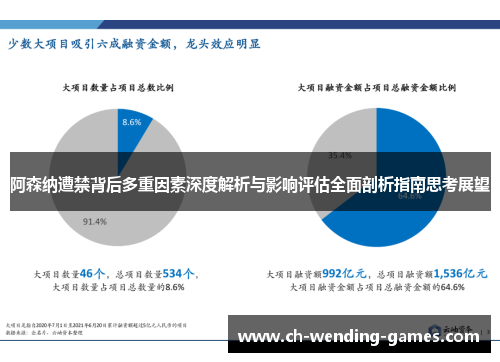 阿森纳遭禁背后多重因素深度解析与影响评估全面剖析指南思考展望 阿森纳遭禁背后多重因素深度解析与影响评估全面剖析指南思考展望